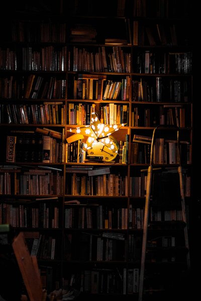 valentin-antonini-0eTLk6dA_Ds-unsplash