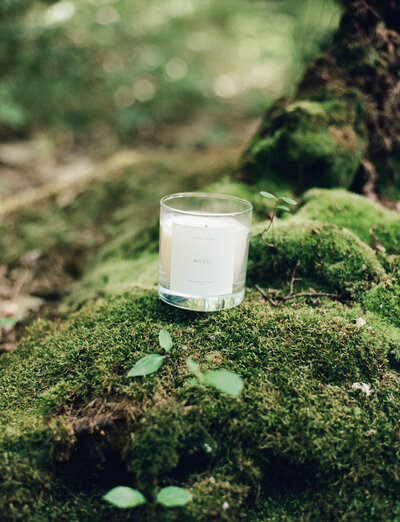Detroit Rose Moss candle on moss mound in woods, forest, film branding photography for candle company