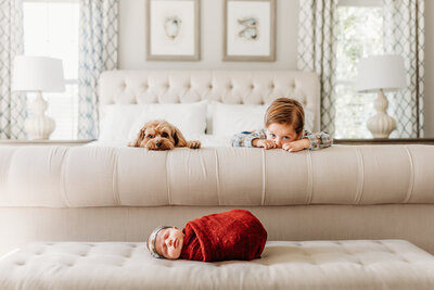 mom and dad with twin girls and dog by harrisburg pa newborn photographer