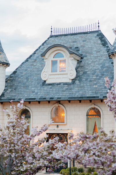 Castle in the Spring with blooming trees