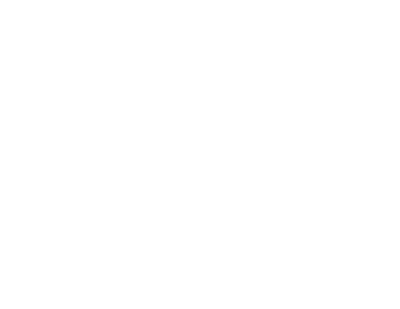 hanna wilson photography logo