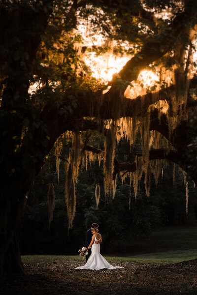 The sun setting through trees covered with Spanish Moss