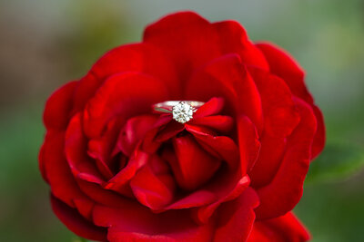 Corin&Chris_BrittanyButterworthPhoto-47