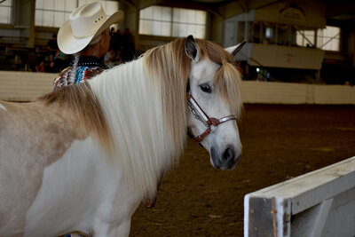 dsc-0145_orig