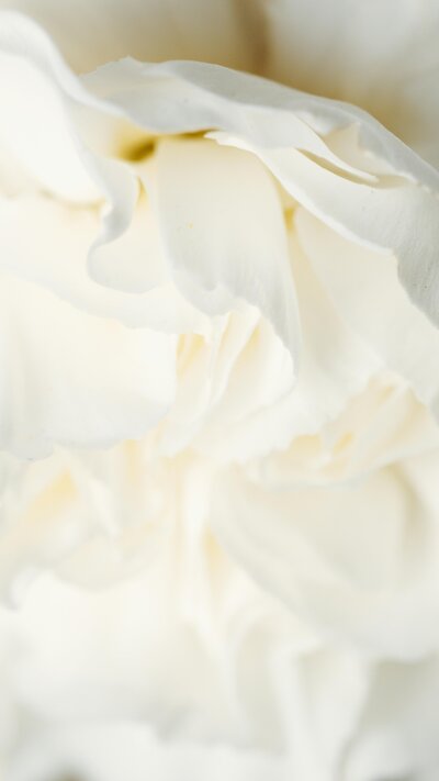 Close-up of soft floral details, featuring delicate blooms arranged elegantly for a wedding in Columbus, Ohio.