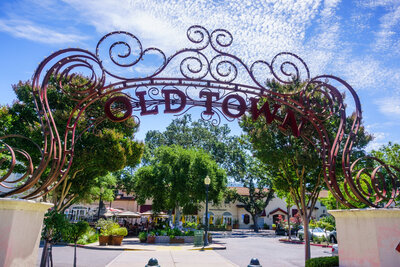 Palm trees in downtown San Jose near high rise apartments