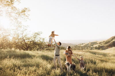 A family enjoys a sunny day outdoors in a grassy field, with one parent lifting a child into the air, another holding a picnic basket, and two children playing with dogs in a family photoshoot in San Francisco bay area.