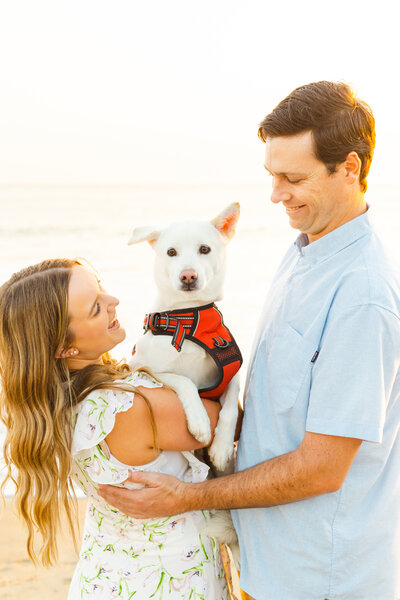 A man and a woman pose for engagement photos with their rescued Akita Shiba Inu puppy, in Santa Cruz California