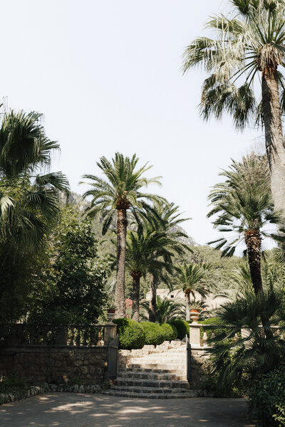 mallorca-pre-wedding-details