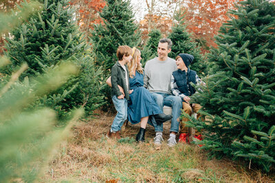 Family of three standing in front of a Christmas tree at sunset