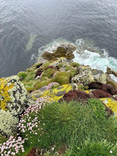 _ - 2025-12-07T123304.217