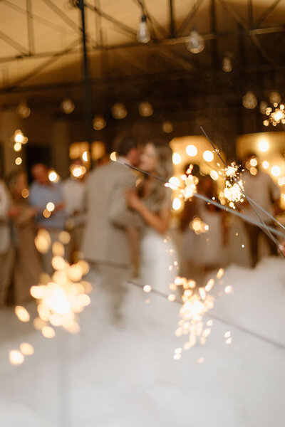 Avidowphoto-517