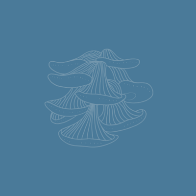 Line art of mushrooms on a blue background, symbolizing growth, exploration, and transformation for seniors exploring psychedelic coaching services.