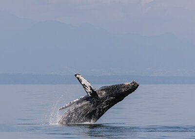 ETW-Media-Productions-Seabreeze-52