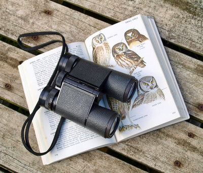 Open bird-watching book on a wooden platform with binoculars on top of it. 