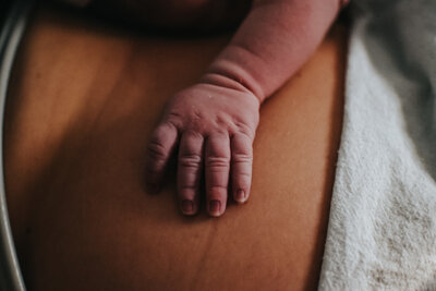 Pittsburgh birth photographer