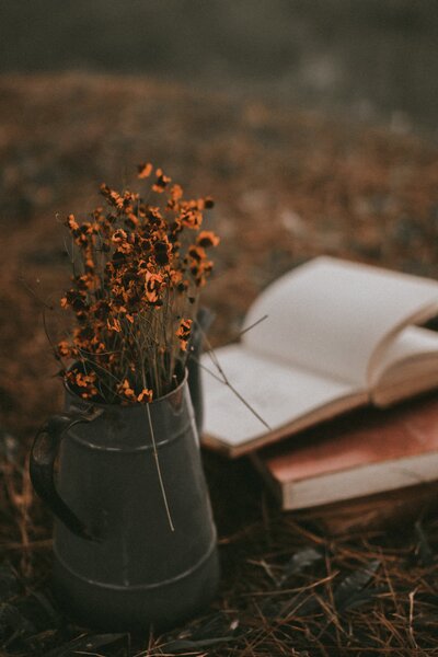 Dried sunflowers and an open book