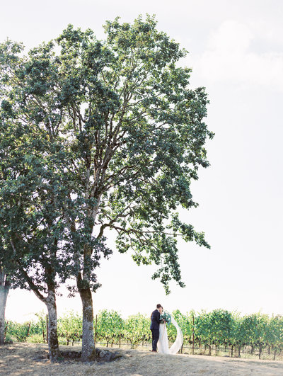 a bride and groom standing in a vineyard