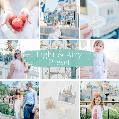 disneyland photo presets for lightroom