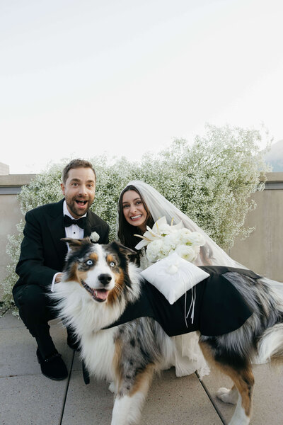Bride and groom pose with dog at rooftop wedding in downtown Boulder