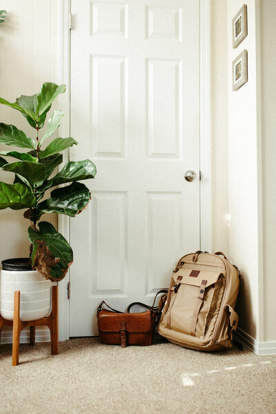 Photography bags sitting on floor beside plant