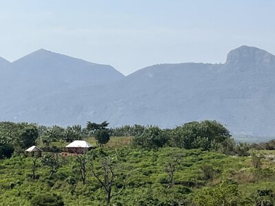 cameroon 10