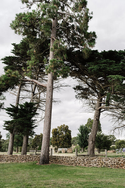 Woolbrook+Homestead+Marnie+Hawson (2)