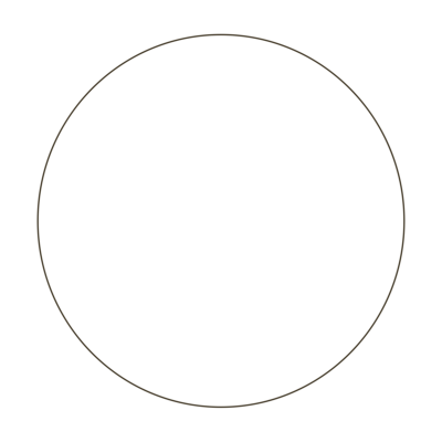 Thin Circle Transparent
