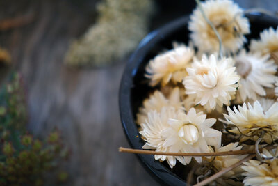 dried white strawflowers - photo by Yumi Nagumo - Fleuris Studio & Blooms