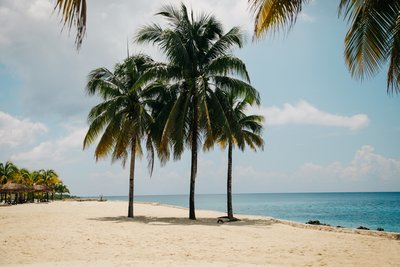 clem-onojeghuo-111588-unsplash