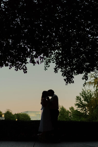 Bride and groom portraits, golden hour, classic wedding photos
