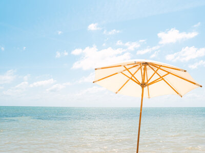 Beach umbrella with blue sky and ocean in the background
