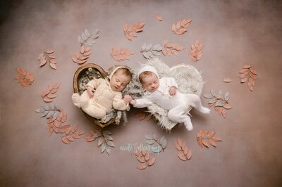 twin newborn photographer in Minnesota