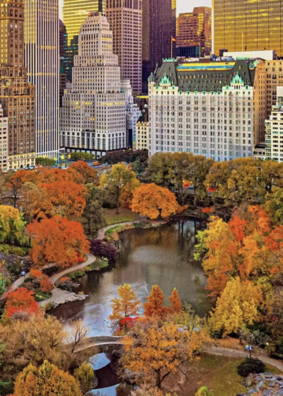 Screenshot 2025-10-01 at 4.57.12 PM