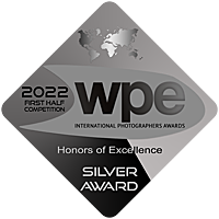 silver-3
