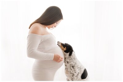 pregnant woman with dog posing at studio by boston maternity photographer