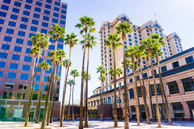 Palm trees in downtown San Jose near high rise apartments