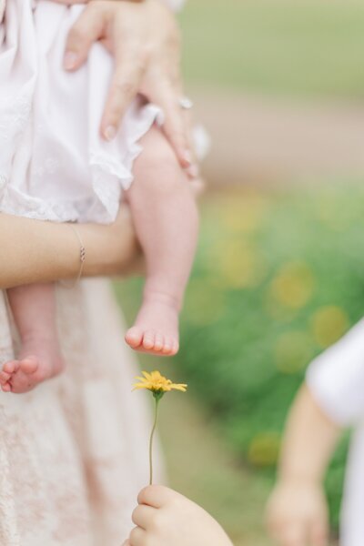 baby toes and flower held by big brother 