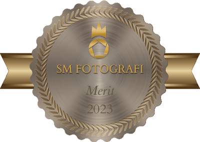 merit-badge-7870