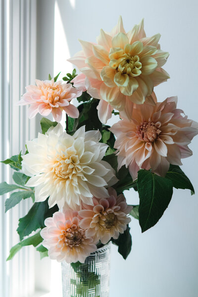 A vibrant bouquet of garden-grown dahlias in shades of pink, yellow, and cream