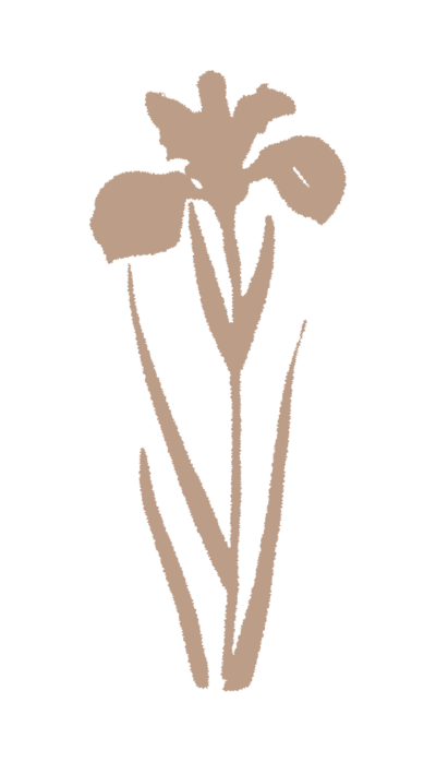 Hope Miriam Designs flower illustration
