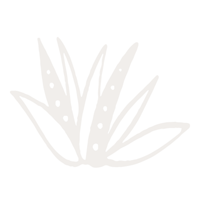 White plant detail graphic