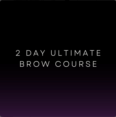 2Day brow course title