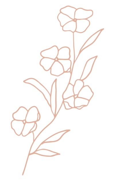 Pink illustration of wildflower