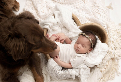 Baby is posed on a blanket during a photoshoot in a vancouver photography studio