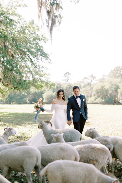 couple with sheep