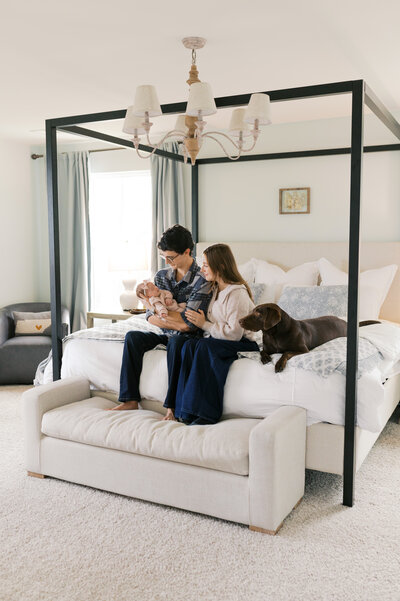 The Battery Engagement Session in Charleston