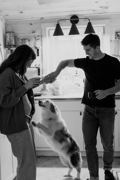 Vermont Wedding Photographer | Sincerely Liz Photography Documentary Wedding, Engagement, Elopement, Maternity and Newborn Photographer in New England | Maternity photo with dog playing