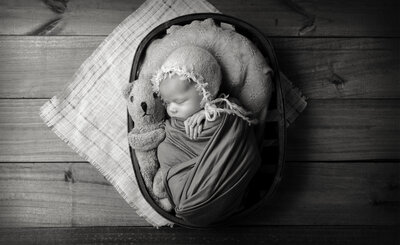 newborn  in a basket