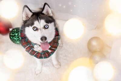 Elegant rustic wedding